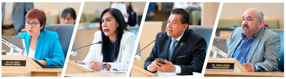 WhatsApp Image 2026-02-19 at 16.14.11