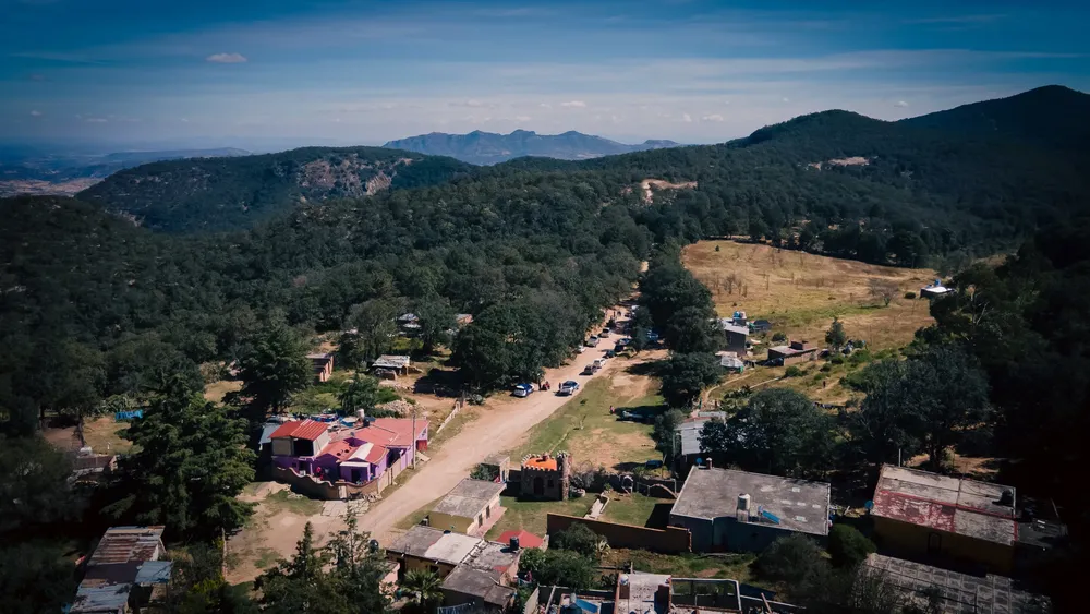 WhatsApp Image 2024-11-19 at 18.02.57