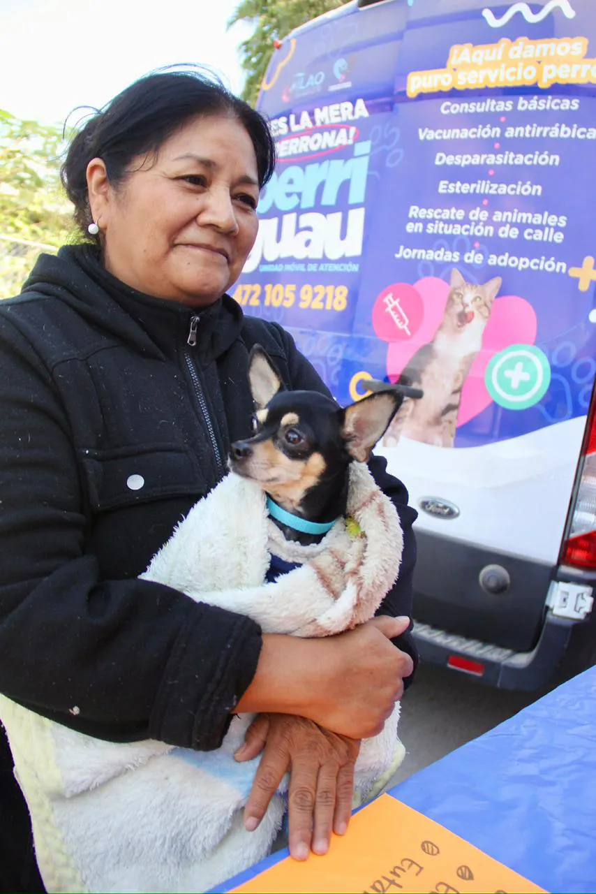 WhatsApp Image 2025-11-10 at 18.44.01