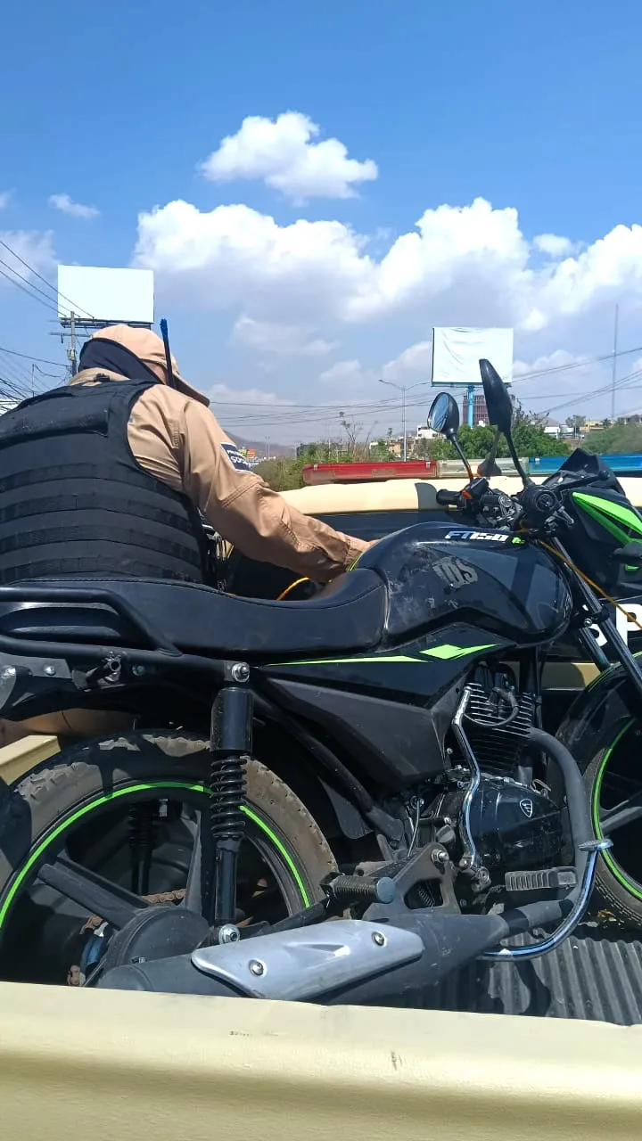 WhatsApp Image 2025-03-27 at 15.38.27